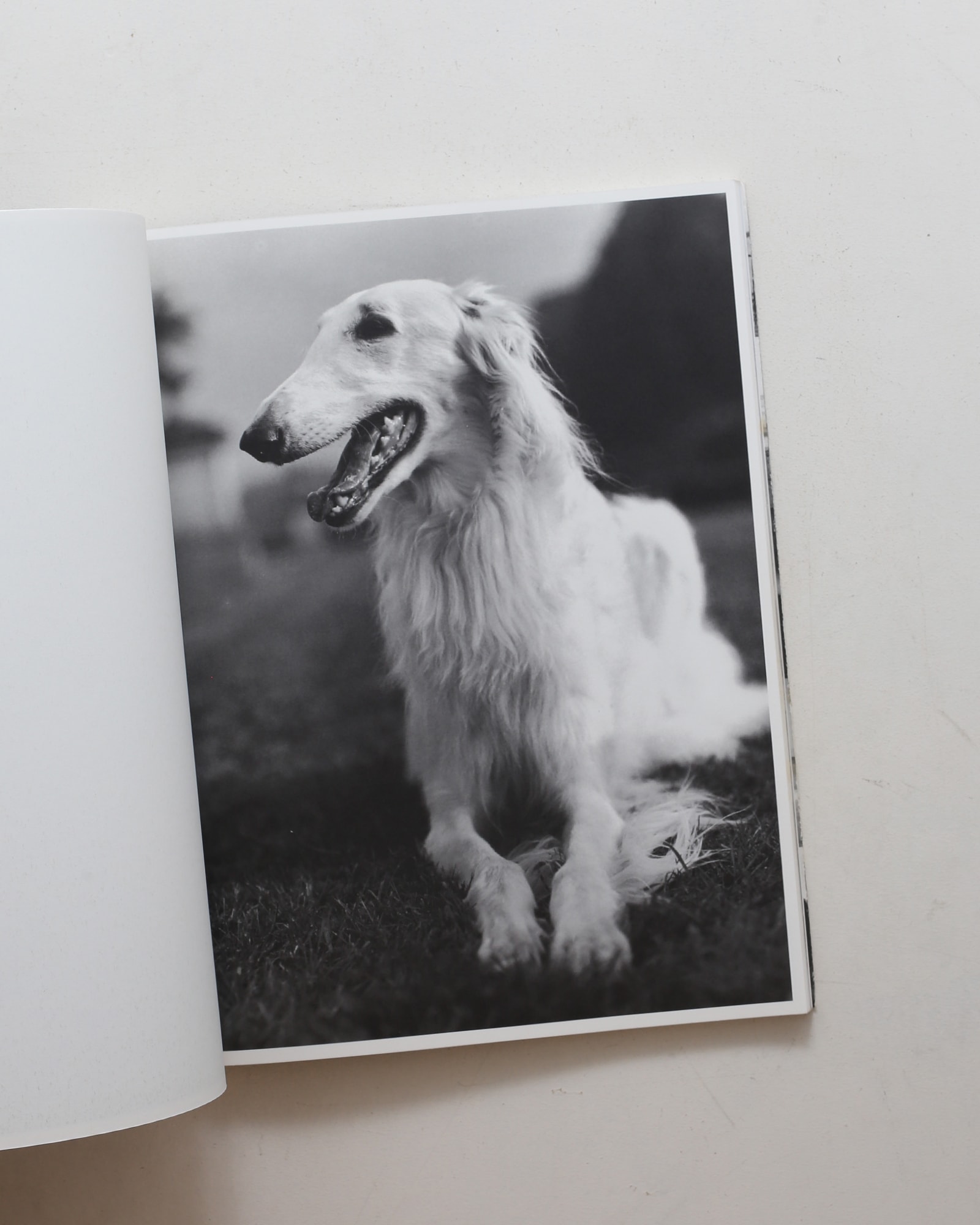 Bruce Weber | nostos books ノストスブックス