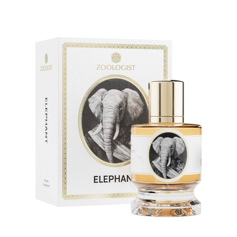 エレファント｜ゾウ – NOSE SHOP