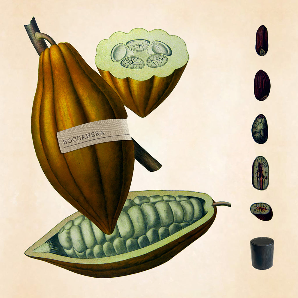 ボッカネーラ｜ダークな口 – NOSE SHOP