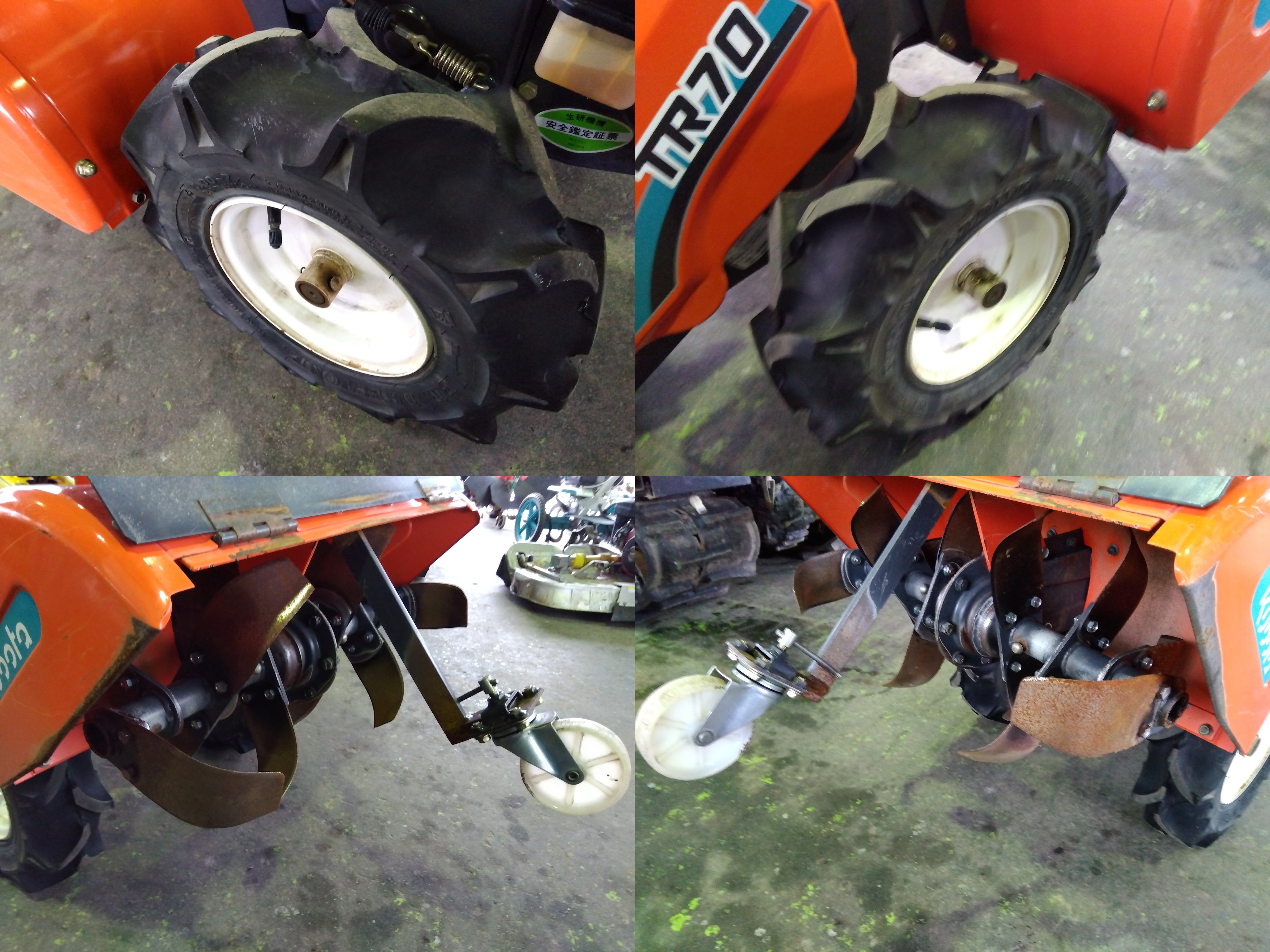 240201175431.jpg?v=1706929729&