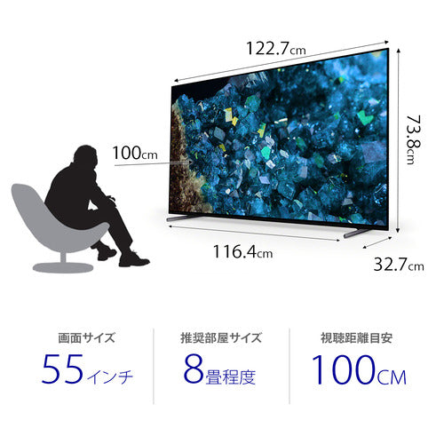 ソニー BRAVIA55型 有機ELテレビ XRJ-55A80L — nmo