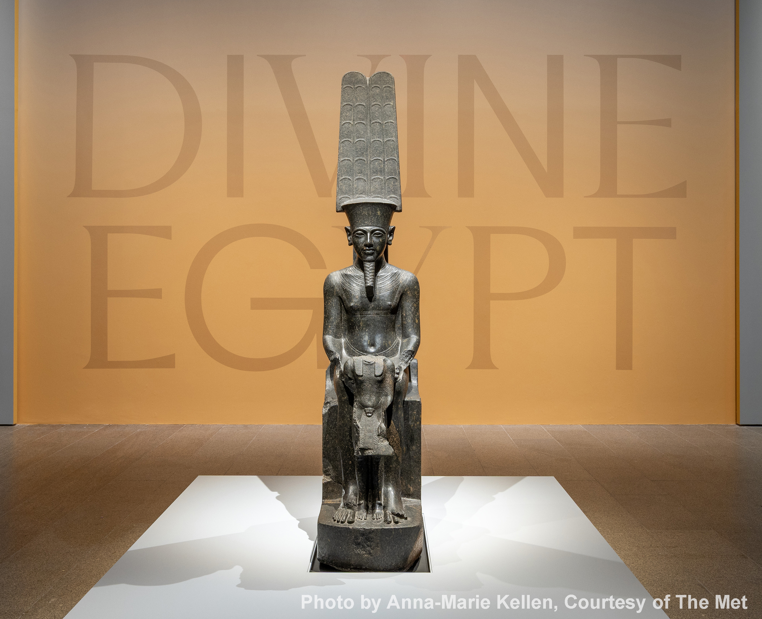 DP-42772-001-JPG-Original-