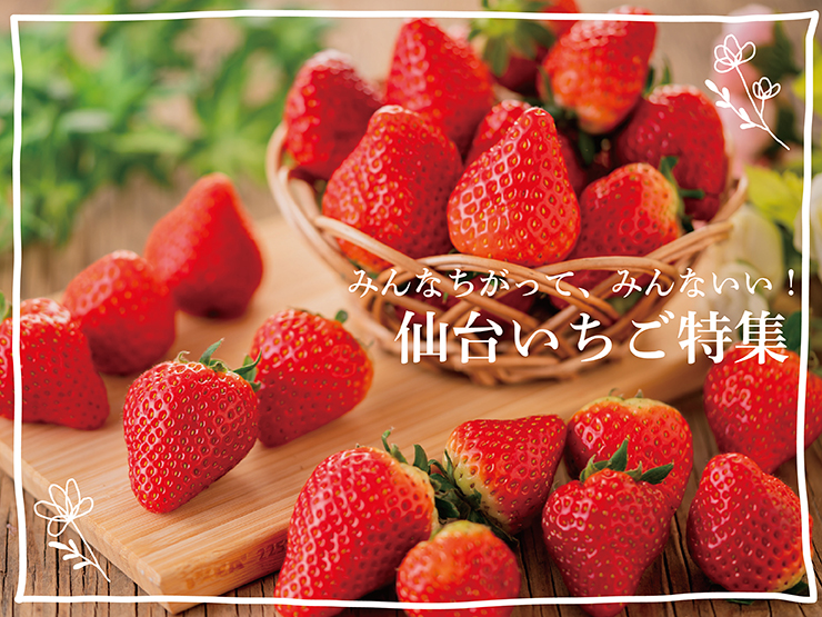 みんな違って、みんないい！今が旬の「仙台いちご」食べ比べてみた