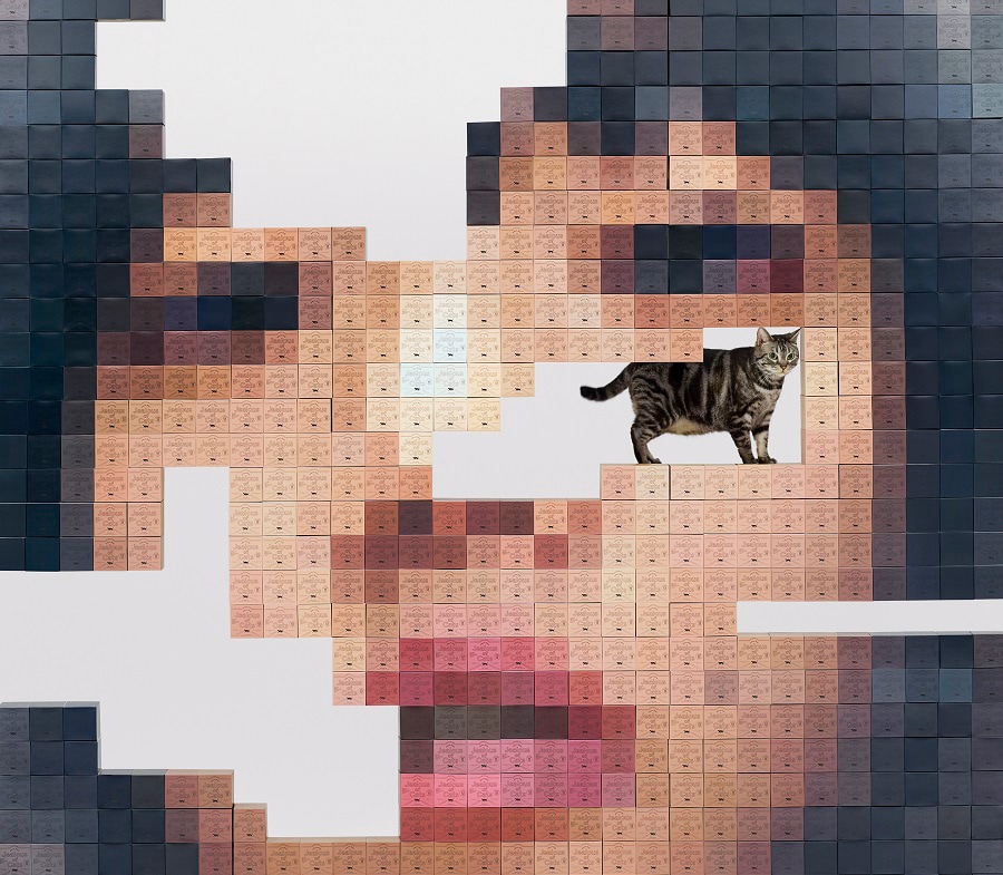 あいみょんニューアルバムは「猫にジェラシー」今夜生配信で新曲を一部