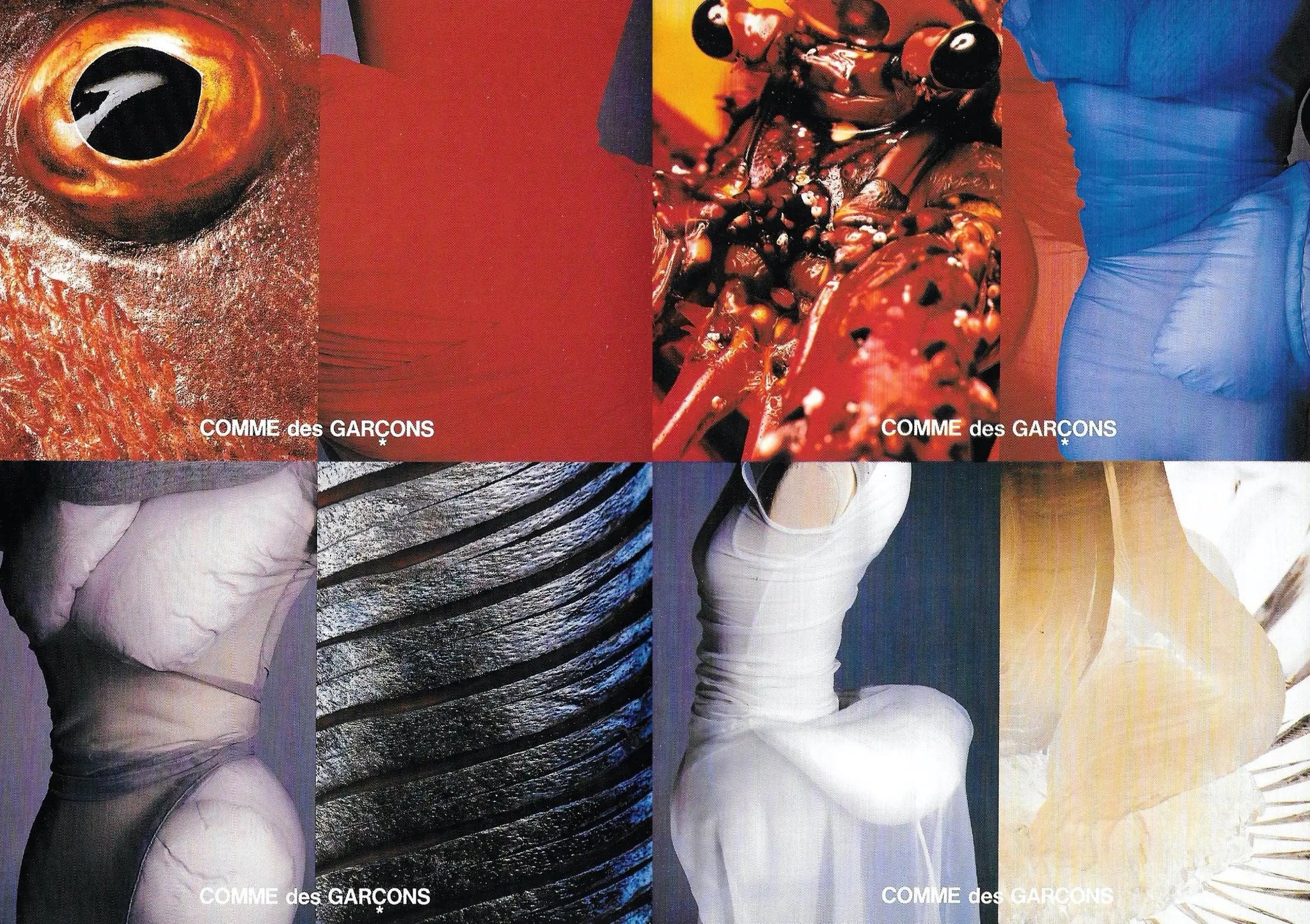 COMME des GARÇONS Memoire De La Mode – Offbrand Library