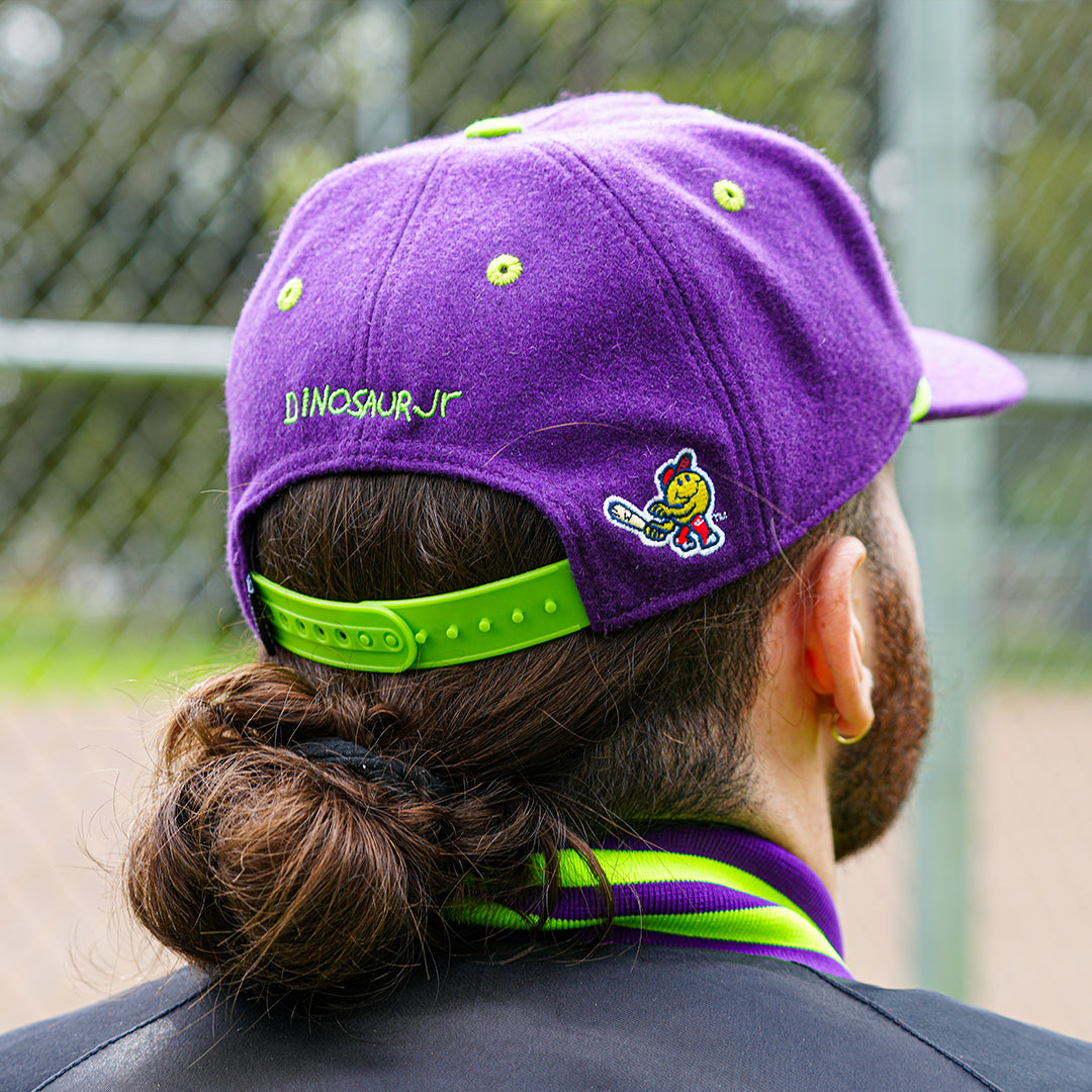 dinosaur jr. x worcester red sox ] the wooly – Official League