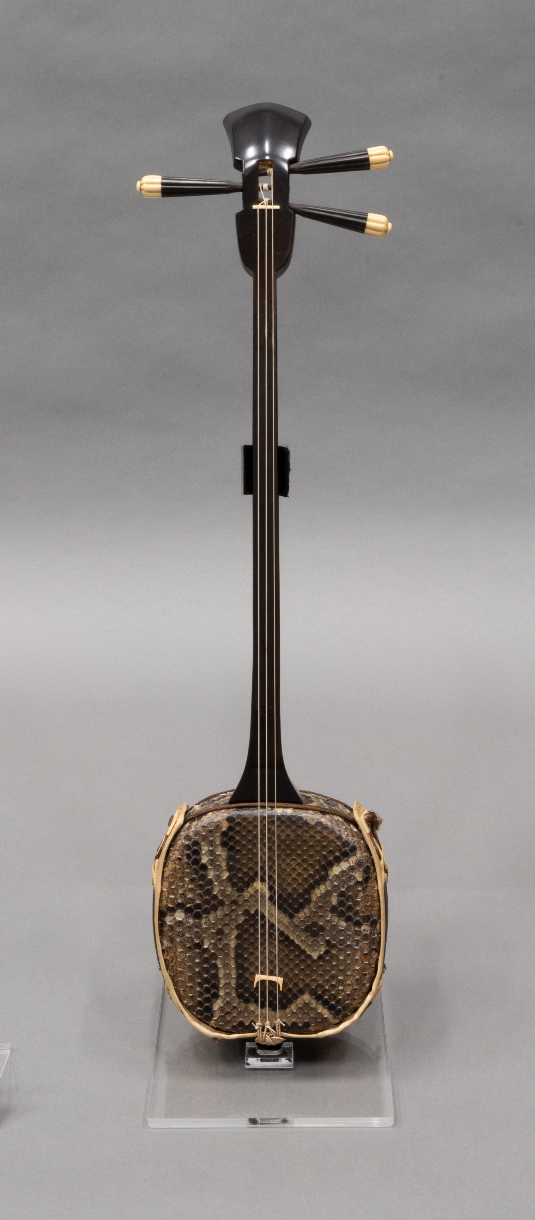 新収蔵品展 令和6年度 収蔵資料 | 展覧会 | 沖縄県立博物館・美術館