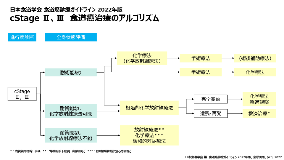 食道がん｜大阪国際がんセンター