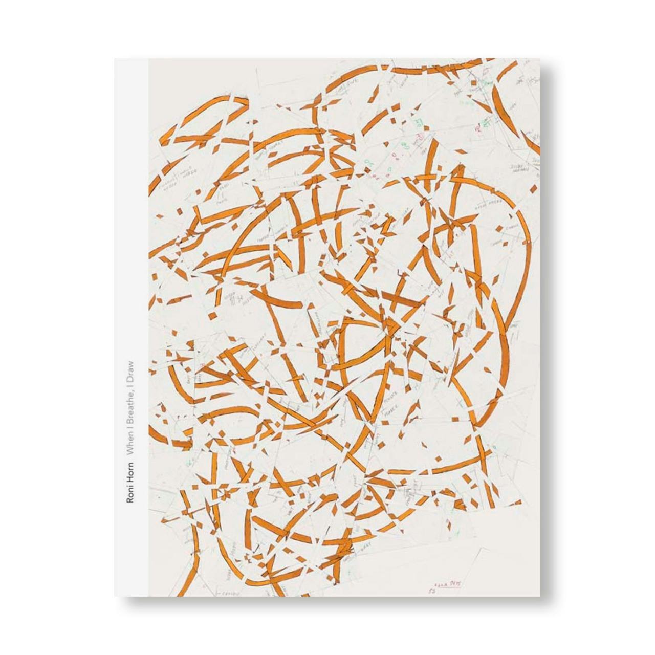 アート・デザイン・音楽 ANOTHER WATER by Roni Horn アート・デザイン