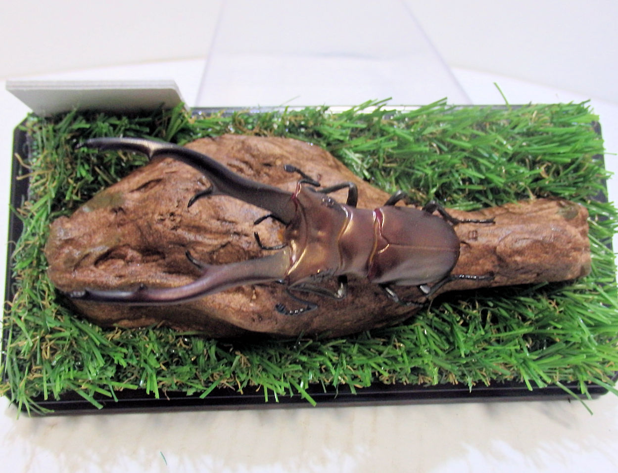 インペラトールホソアカクワガタ♂82mmレプリカ標本 | オオクワ京都昆虫館
