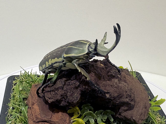 ポリフェムスオオツノカナブン♂68mmレプリカジオラマ標本