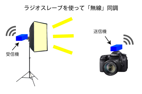 シャッターを押してストロボを光らせる方法 │ 撮影機材のOMNIVAS