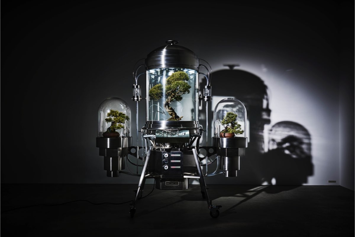 神宮前・StandByでAMKK（東信, 花樹研究所）2度目の個展「Paludarium