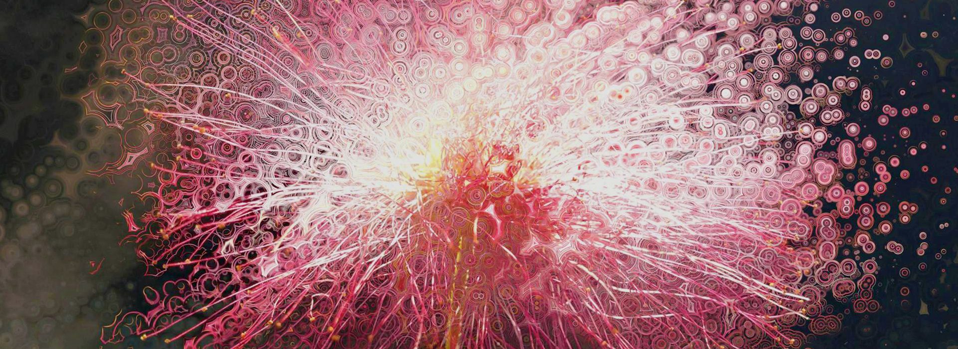Stretched Imagination: Artist Alliance At Ashton Gallery