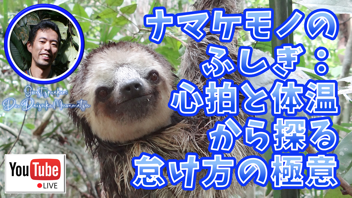 ライブ配信！ナマケモノのふしぎ：心拍と体温から探る怠け方の極意 10
