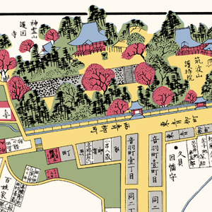 雑司ヶ谷音羽絵図 | 【旧】こちずライブラリ