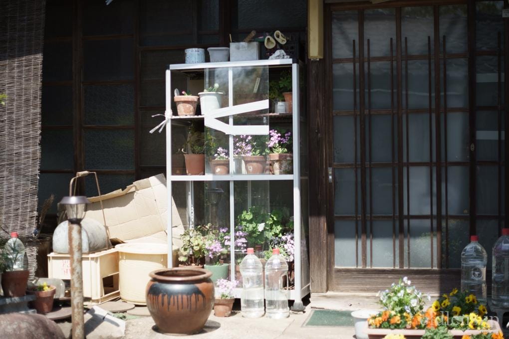 FUJINON 55mm F1.8 初期型M42 Review作例 フジノンおすすめオールドレンズ