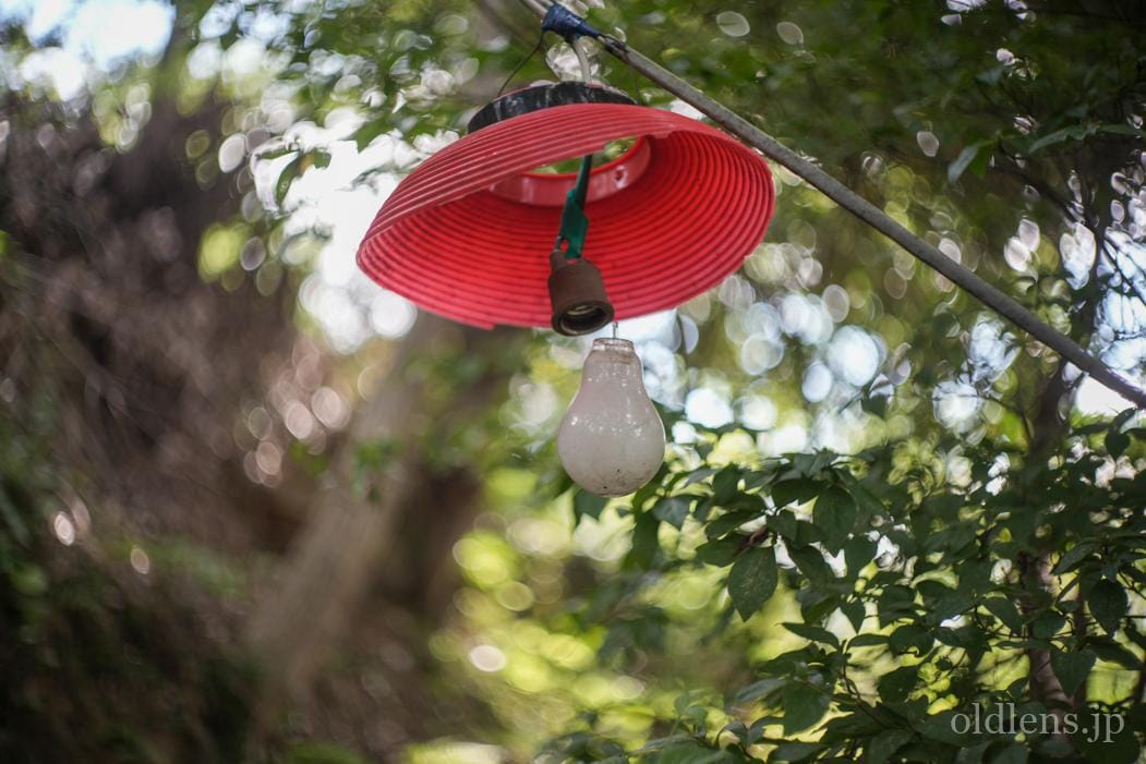 QUINON 50mm F2 Review作例 ダブルガウスSteinheil Münchenシュタイン