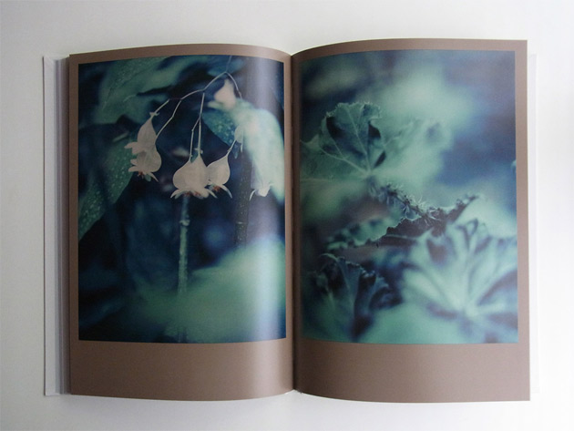Darren Almond写真集 『The Civil Dawns』 / ON READING | bookshop