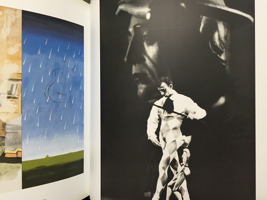 Immediate Experience／David Salle デビッド・サーレ | ON THE BOOKS