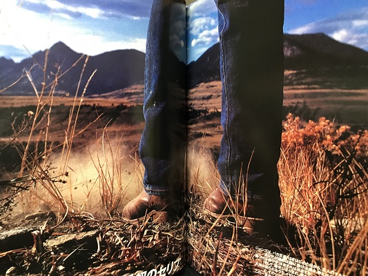 INOUE TSUGUYA GRAPHIC WORKS 1981-2007 井上嗣也グラフィックワークス