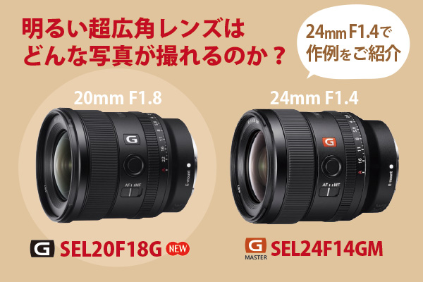 SEL20F18G - ONE'S- ソニープロショップワンズ[兵庫県小野市]カメラ