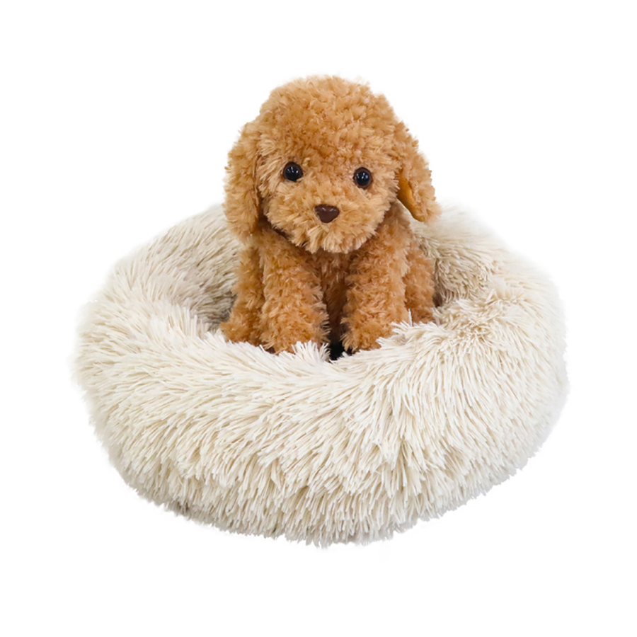 おしゃべりトイプードルのご紹介！ - おしゃべりトイプードル公式サイト