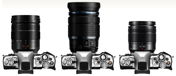 Leica DG Vario-Elmarit 12-60mm f/2.8-4 ASPH Power OIS Review