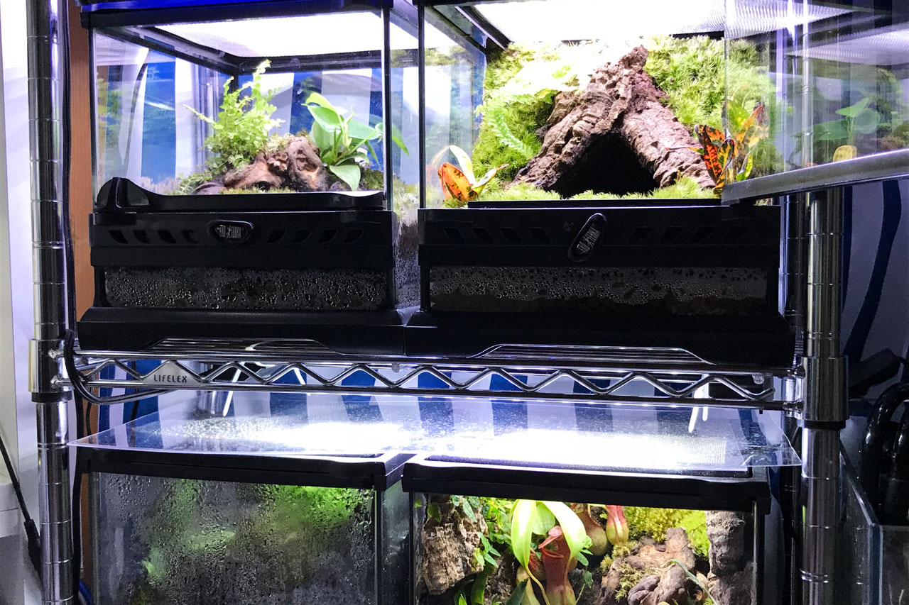 定番製品！「グラステラリウム ナノ キューブ」実使用レビュー