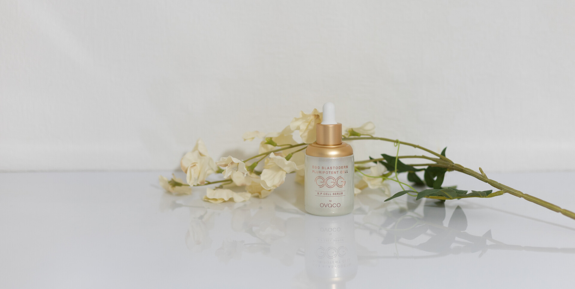 オバコ セラム - ovaco（オバコ化粧品）【株式会社エスター】