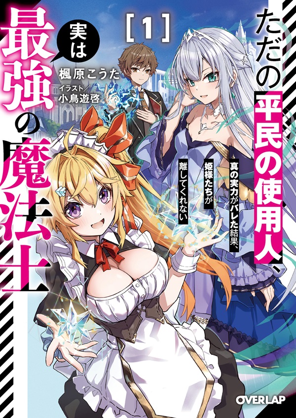 異世界でスローライフを（願望） 12｜オーバーラップノベルス