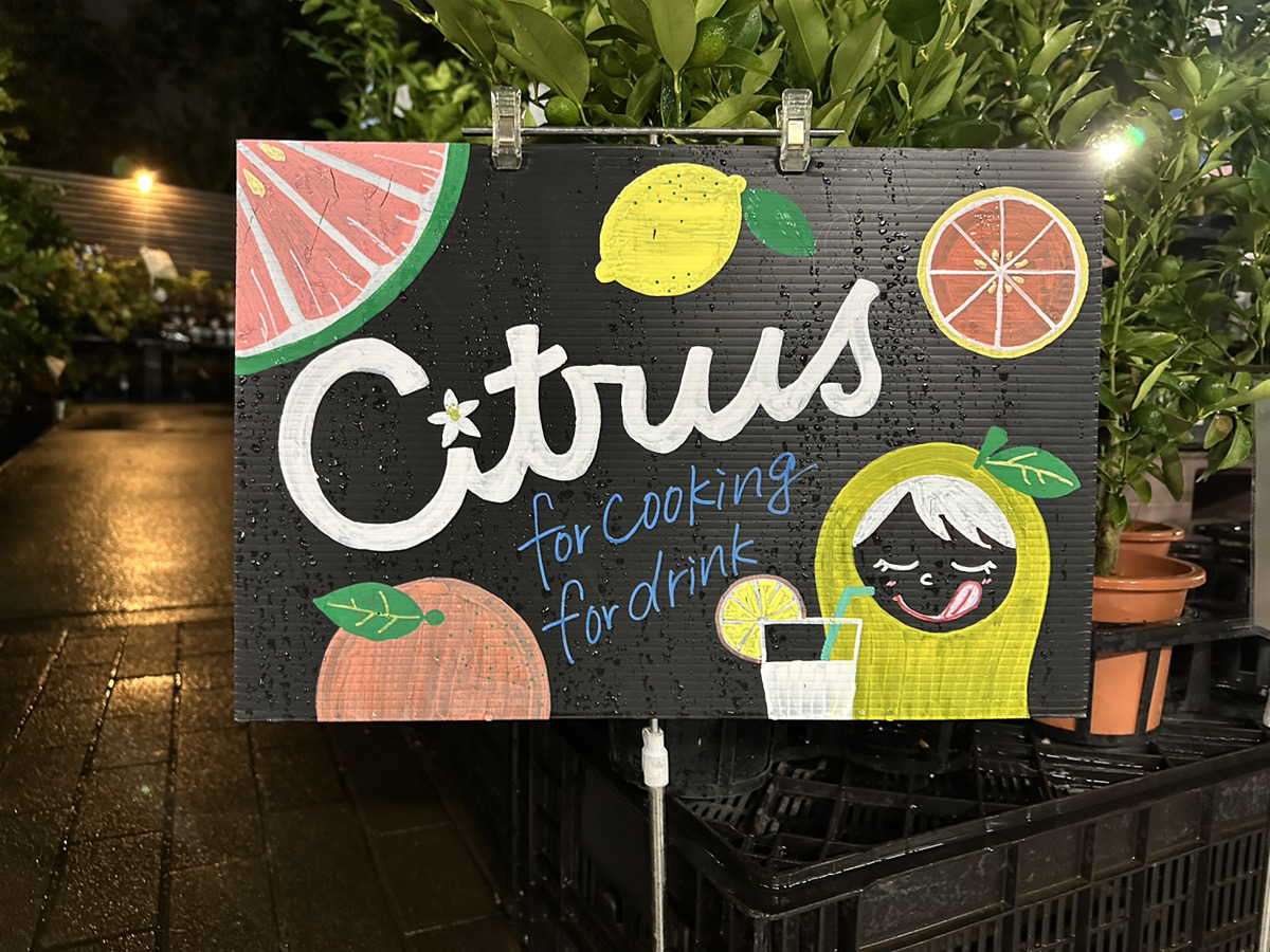 9/20（土）・9/21（日）フルーツ苗イベント情報＆酸っぱ爽やか