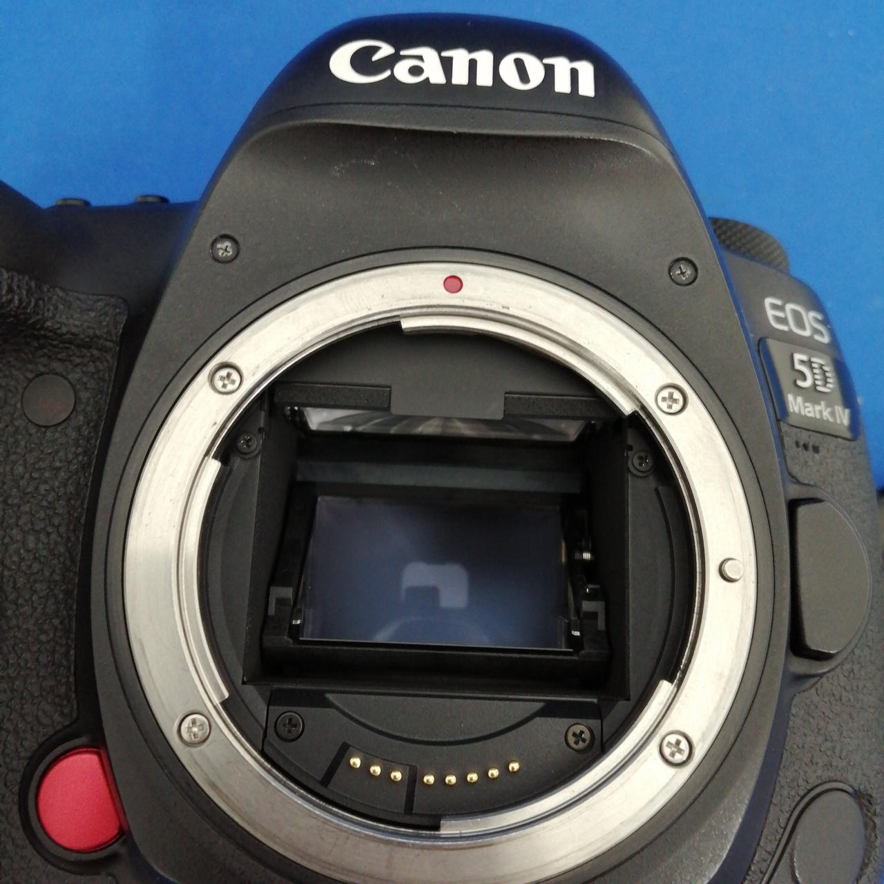 キヤノン(CANON)|デジタル一眼ボディ/EOS 5D MARKⅣ|【ハードオフ公式