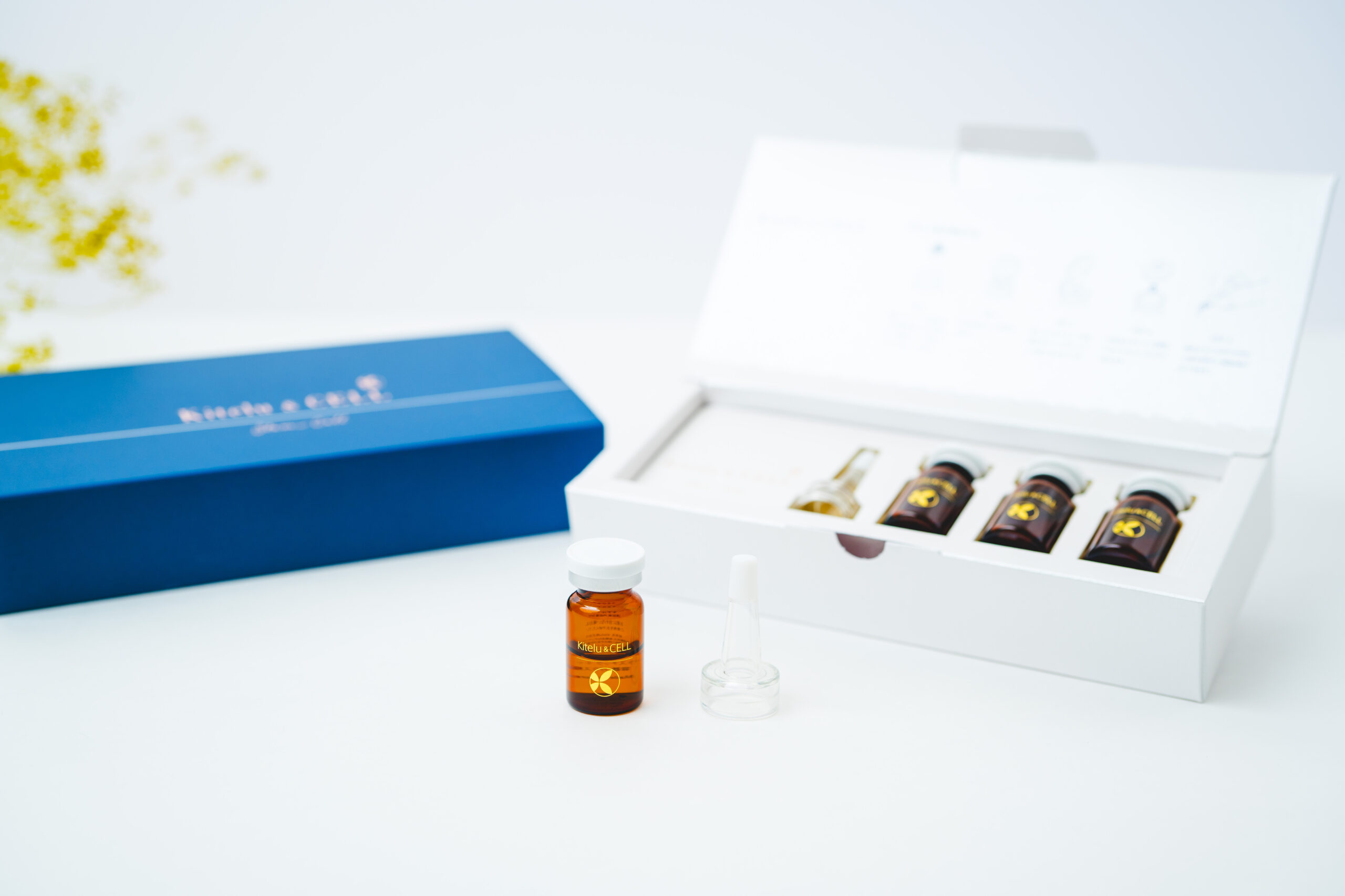 幹細胞美容液 Kitelu＆Cell 神経幹細胞培養液美容液 30ml（5ml×6本
