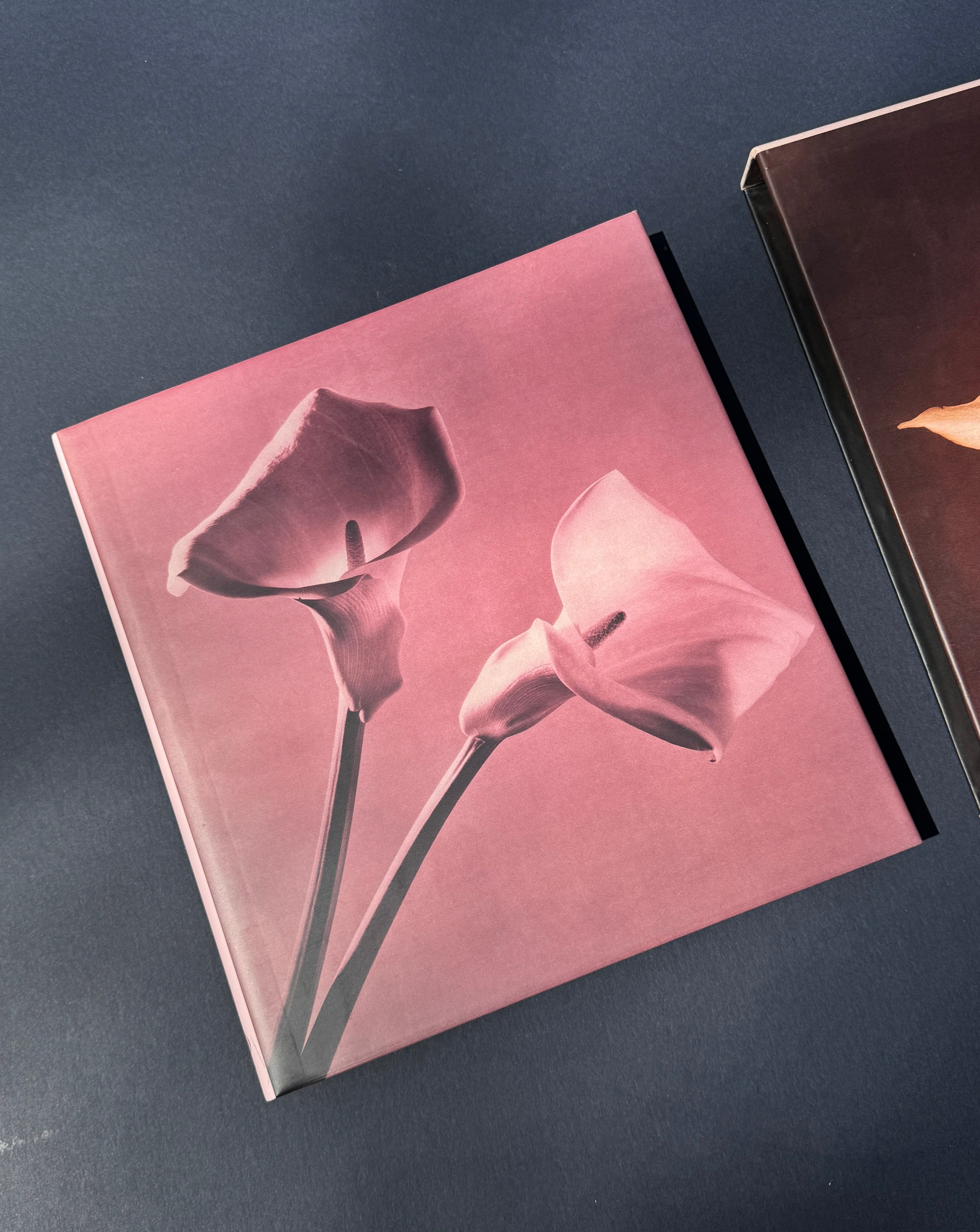 Robert Mapplethorpe - Pistils – Parallel Editions