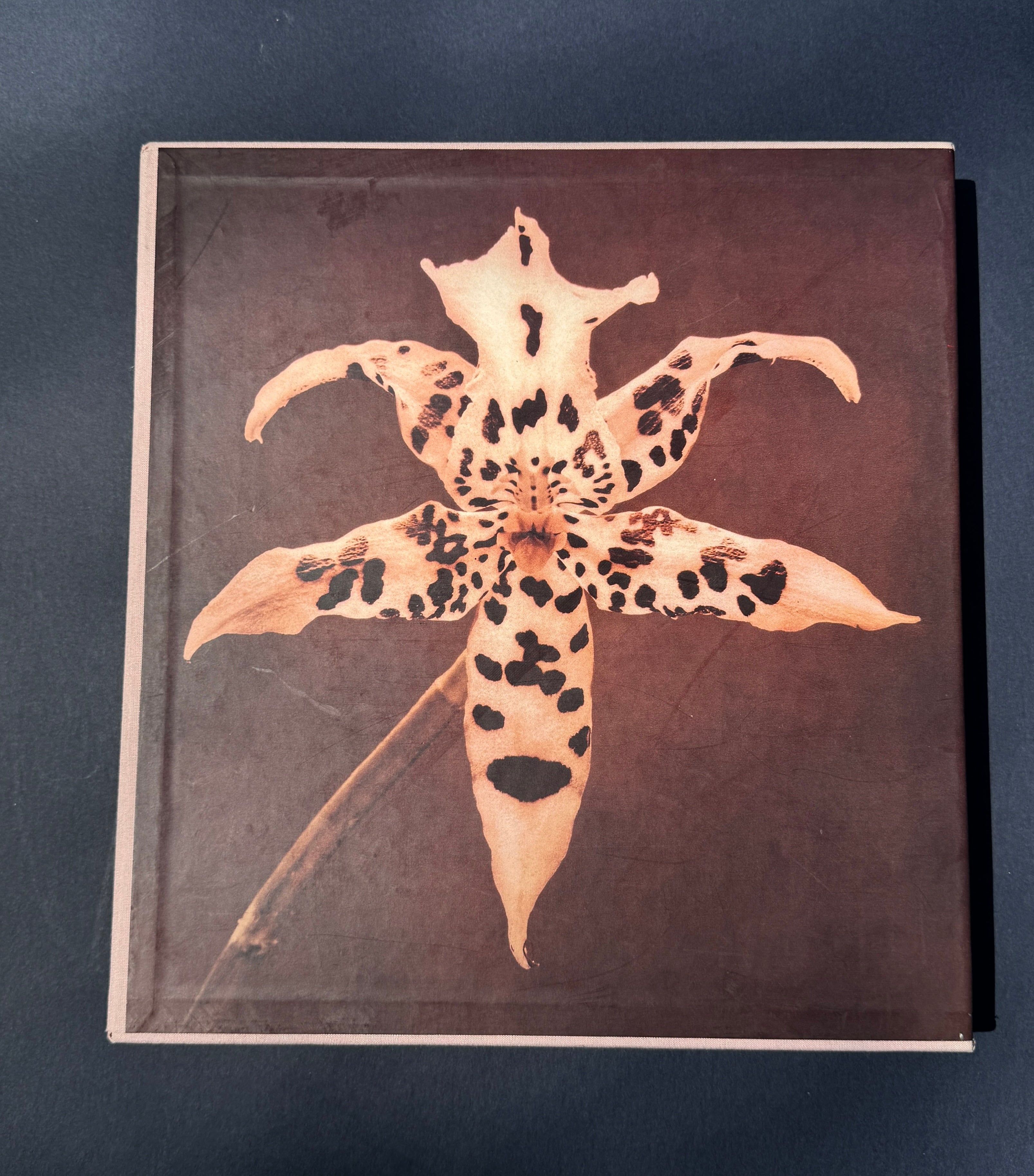 Robert Mapplethorpe - Pistils – Parallel Editions