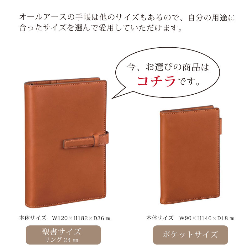 ダヴィンチ システム手帳 オールアース バイブルサイズ ブラック