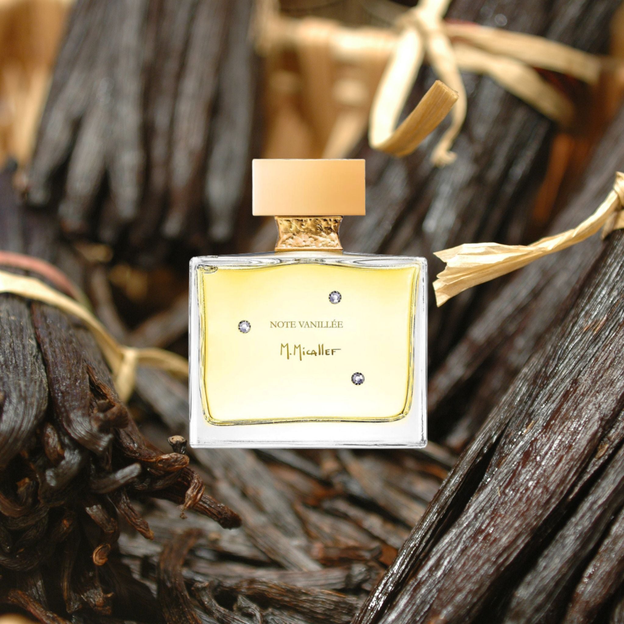 Note Vanillee | M.Micallef | parfumexquis