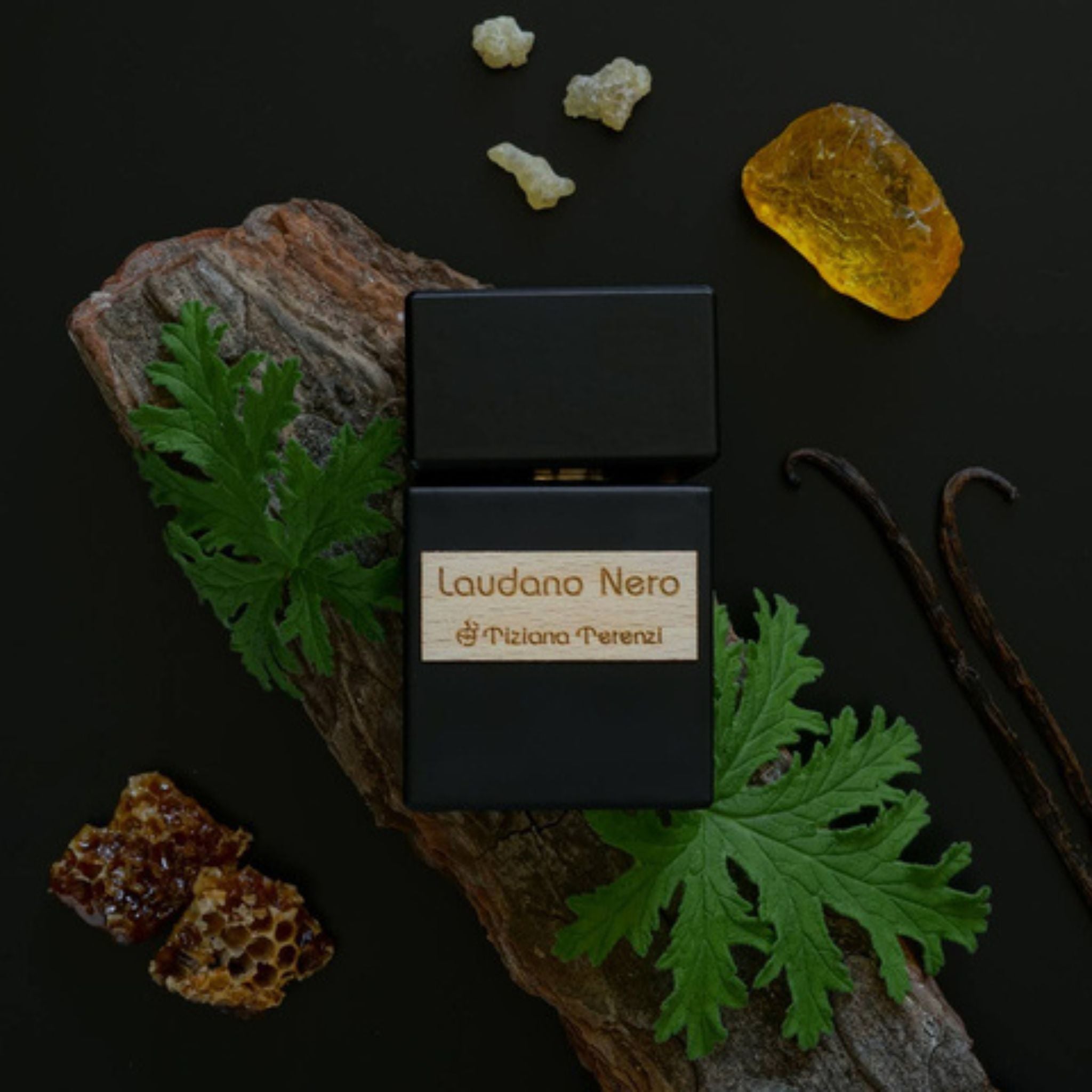 Laudano Nero | Tiziana Terenzi | parfumexquis