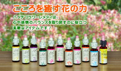 バッチフラワーレメディ専門店｜効果・選び方・38種類解説｜eパスタイム
