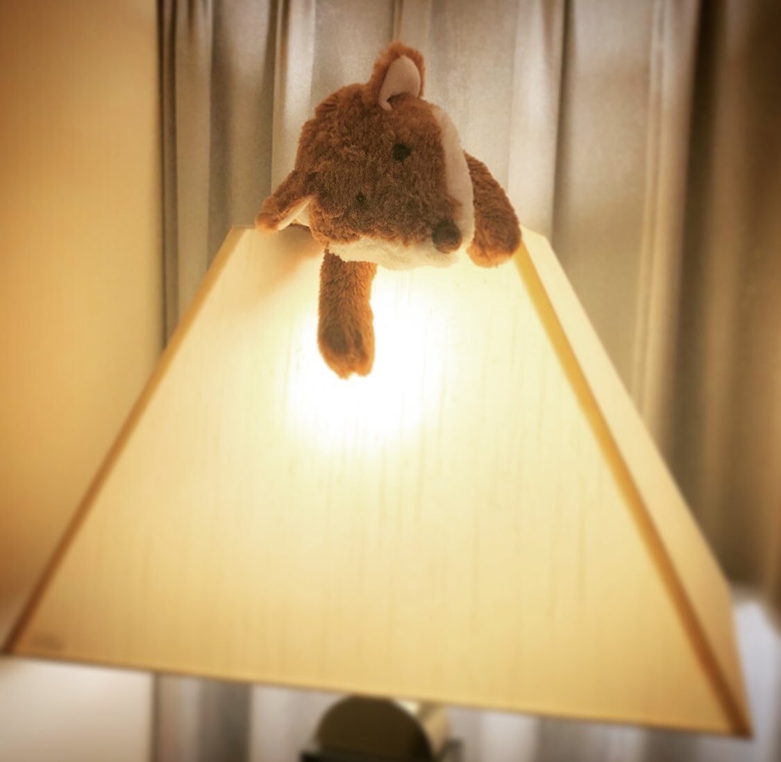 ｱﾘｶﾞﾄﾆｲｶﾞﾀ