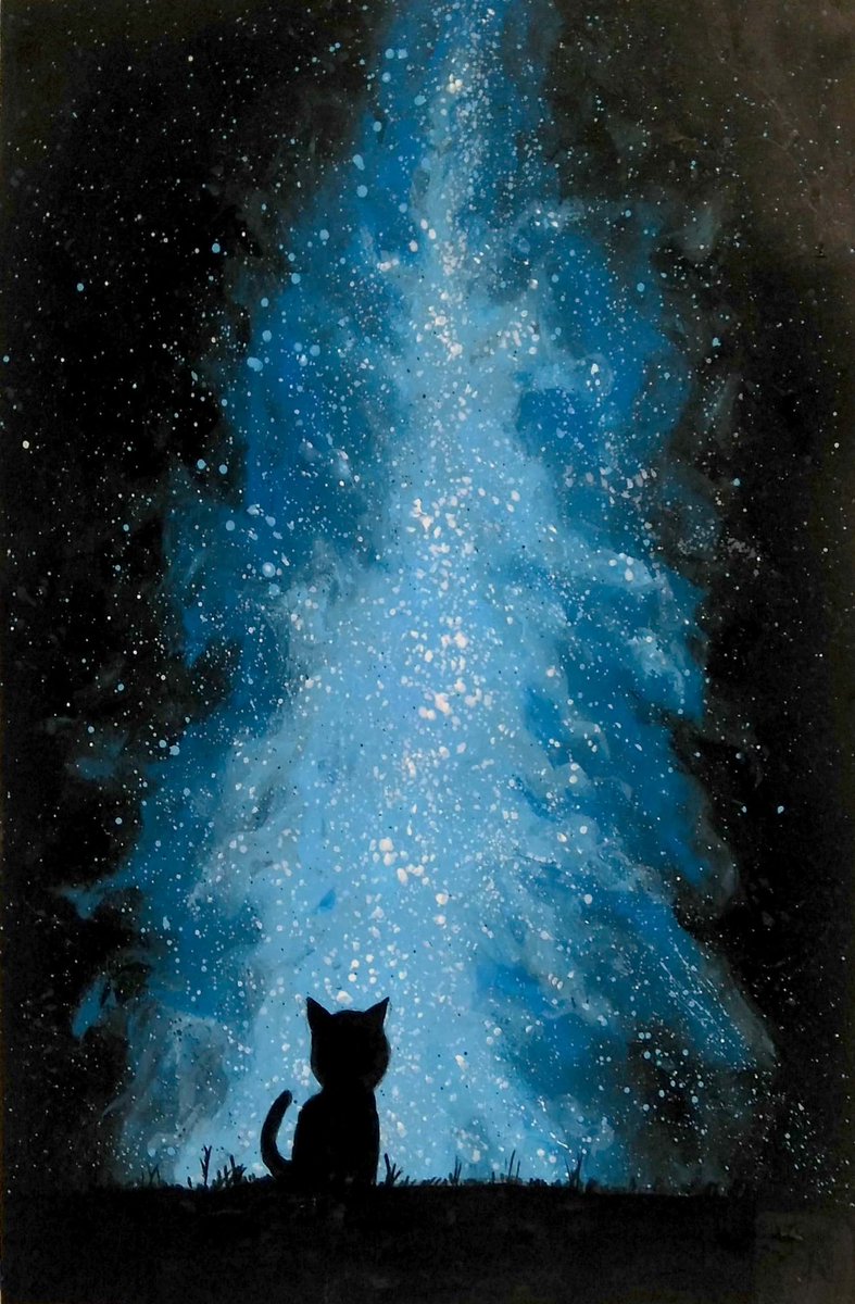 夜空を眺める猫 アクリル絵の具 A4ケント紙 夜空に輝く星達を初めて