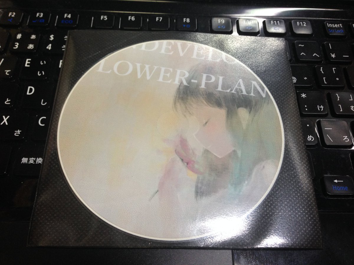 以前コミケで頒布したこちらのインスト&没作集『UNDEVELOPED FLOWER