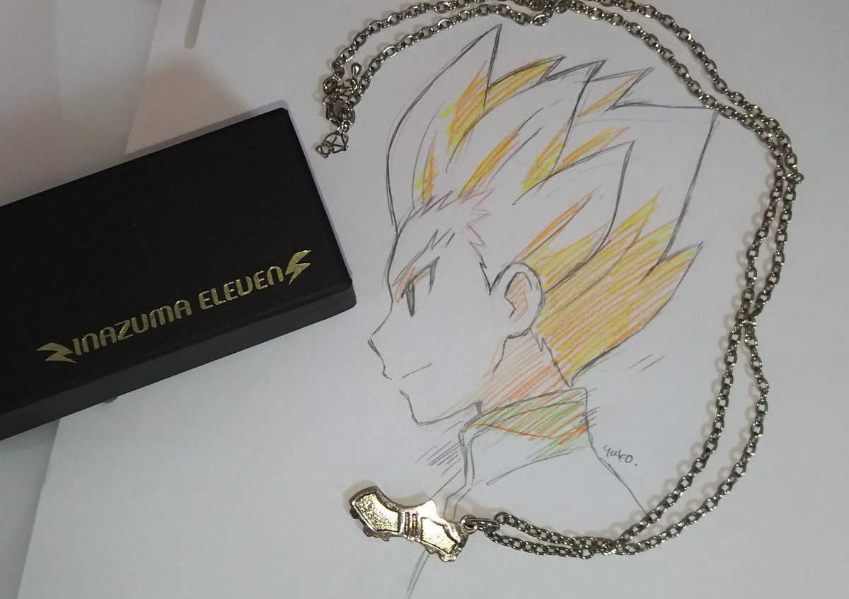 そういえば打ち入りの時に聞かれたんですけど これは豪炎寺が妹の為に