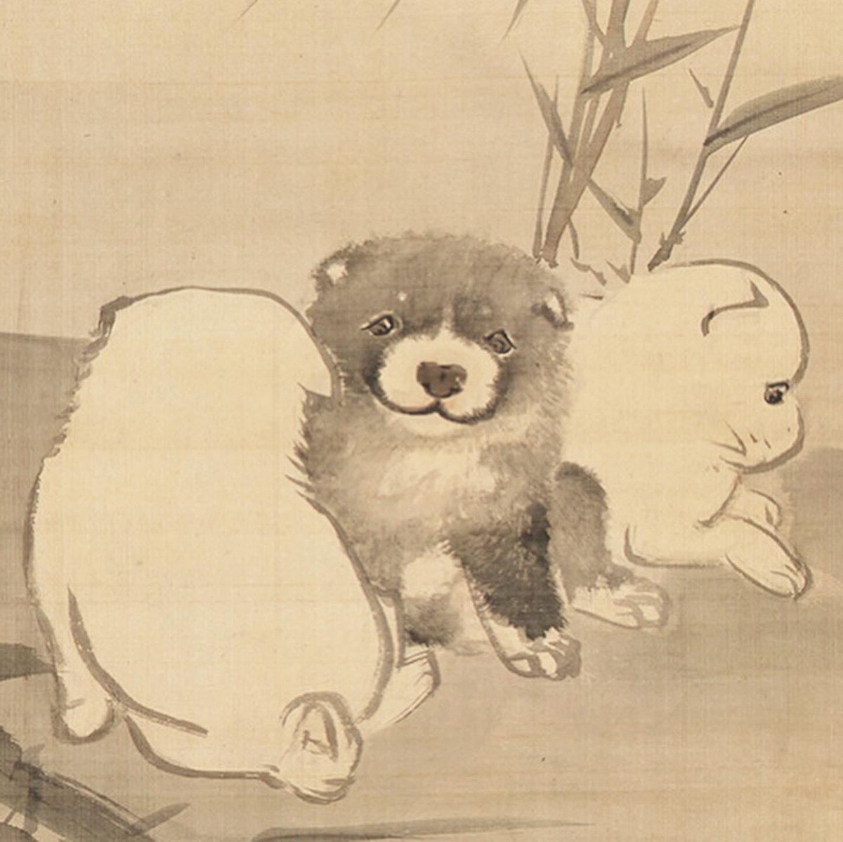 円山応挙「竹に狗子図」福田美術館〈通期展示〉 #福田美術館 #京の