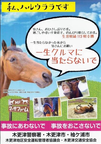 ウマ娘も競馬もやってないけどハルウララ113戦0勝で一生当たらなくて