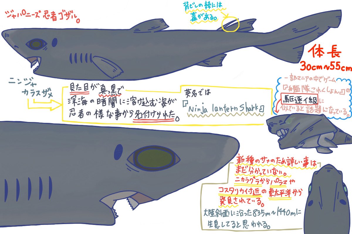 EyTm9wtVgAIm7ML.jpg?format=jpg