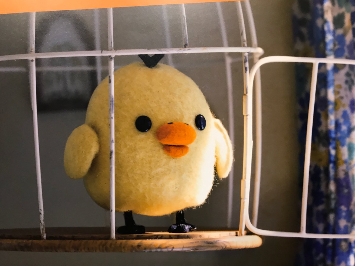 リラックマとカオルさん展 でももちろん、キイロイトリのパネル、展示