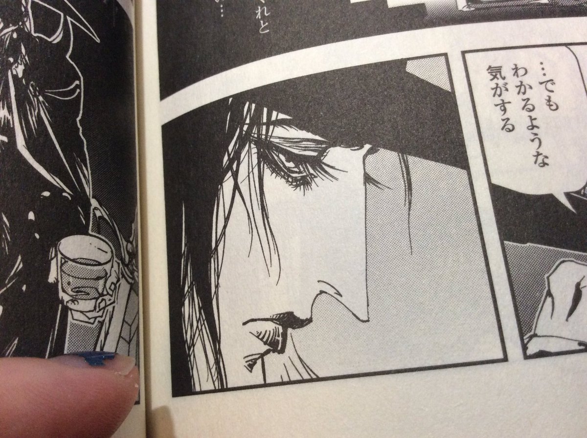 コレ、ご存じない方も多いかと思いますが、菊地秀行原作の「バンパイア