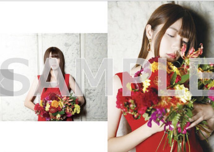 おしらせ】 本日、新作フォトブックが発売となりましたーー！！ 企画